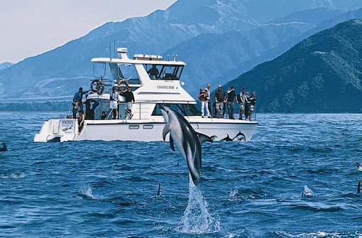 Mit dem Boot geht es aufs offene Meer hinaus: Wer will, kann den Delfinen auch vom Trockenen aus zuschauen. Foto: Schiegl