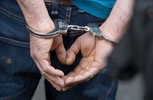 Der 24-Jährige wurde vor Ort festgenommen und wenig später Haftbefehl gegen ihn erlassen (Symbolbild). Foto: dpa/Boris Roessler