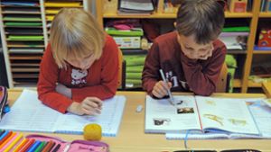 Zwei Grundschüler konzentrieren sich auf  die Arbeit an ihren    Hausaufgaben. Foto: dpa/Patrick Seeger