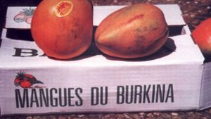 Ab 6. Mai verkauft der evangelische Kirchenbezirk wieder Mangos aus Burkina Faso Foto: Archiv