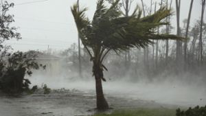 Hurrikan „Dorian“ machte die Bahamas zur Gefahrenzone für Mensch und Tier. Foto: dpa