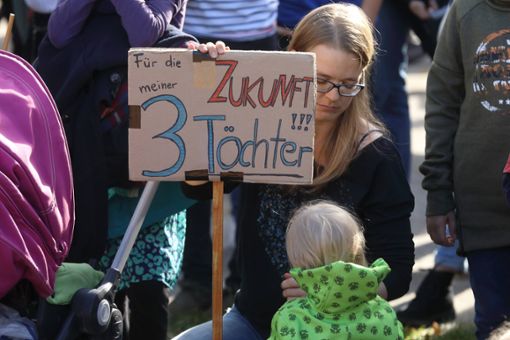 Auch bei den Fridays for Future-Demos haben schon viele die Frage nach der Zukunft ihrer Kinder gestellt.  Foto: Imago/Müller-Stauffenberg