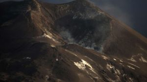 Der Vulkan auf La Palma hat sich beruhigt. Foto: AFP/JORGE GUERRERO