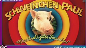 Ein Schwein soll für saugute Einschaltquoten sorgen: Joko und Klaas ließen die Sau in einer  Kunstgalerie raus. Foto: Twitter/@jokoundklaas