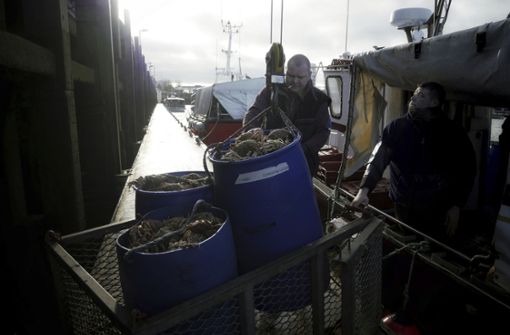 Im Hafen von Boulogne-sur-Mer laden Fischer ihren Fang aus. Sie befürchten, dass sie nach dem Brexit zu den großen Verlierern zählen könnten. Foto: AP/Thibault Camus