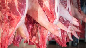 Die Fleischindustrie steht wegen prekärer Arbeits- und Unterkunftsbedingungen bereits seit vielen Jahren in der Kritik. Foto: imago images/Countrypixel/Fritz Rupenkamp