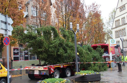 Am 11. November ist der  Weihnachtsbaum auf dem Wilhelm-Geiger-Platz angekommen und aufgestellt worden. Der Budenzauber auf dem Rudolf-Gehring-Platz  findet am 3. und 4. Dezember statt. Foto: Torsten Ströbele