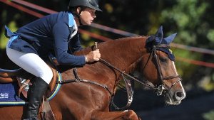 Rolf-Göran Bengtsson bei den Europameisterschaften im Springreiten in Madrid mit seinem Pferd Ninja La Silla. Was wissen Sie über den Sport?  Foto: dpa