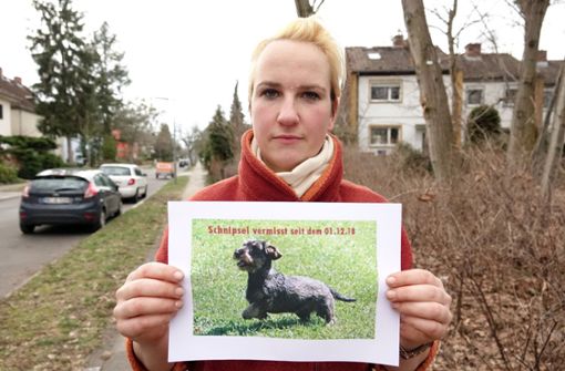 Der Dackel Schnipsel wird seit mehreren Wochen vermisst. Maxi Schwebig und ihre Mutter erhielten von mehreren Erpressern Anrufe und Nachrichten, Lösegeld für den Hund zu zahlen. Foto: dpa