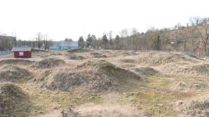 Auf diesem Gelände beim Kirchheimer Schlossgymnasium soll der Bike-Park gebaut werden. Foto: Stadtverwaltung