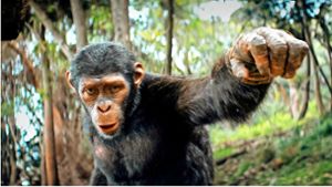 In „Planet der Affen“ kämpfen die Menschen ums Überleben