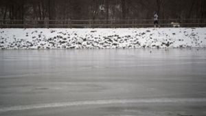 Die Seen in Stuttgart bleiben zunächst noch zugefroren. Foto: dpa