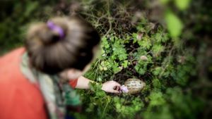 Unter einem Rosenbusch auf ihrem Spazierweg haben Nadine Jochim und ihr Freund das Kind begraben. Foto: Horst Rudel Foto:  