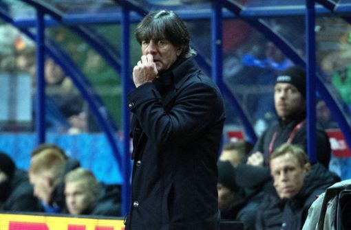 Deutsche Fans machten ihrem Unmut über Bundestrainer Jogi Löw in Estland Luft. Foto: dpa/Federico Gambarini