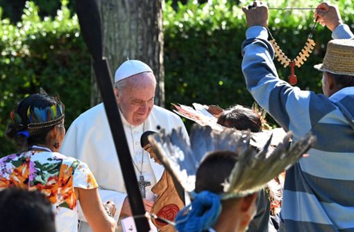 Papst Franziskus  hat die Amazonas-Synode im Vatikan einberufen. Foto: AFP/ANDREAS SOLARO