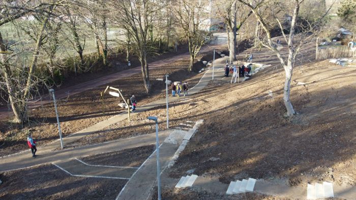 Riedgraben in Eglosheim: Einstige Kloake soll wieder eine grüne Lunge sein