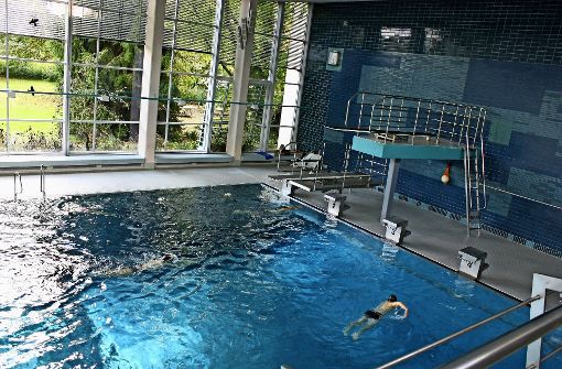 Bis die Temperaturen draußen wieder steigen, müssen die Schwimmer im Leinfeldener Gartenhallenbad auf einen Warmbadetag verzichten. Foto: Archiv N.  Kanter