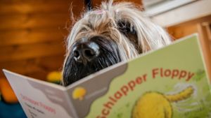 Die Idee, dass Kinder Tieren vorlesen, stammt aus den USA, wo Tiere bereits seit den 90er Jahren zur Leseförderung eingesetzt werden. Foto: dpa