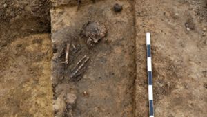 Dieses Skelett wurde im Frühjahr 2021 im Leinfelder Baugebiet Schelmenäcker   gefunden. Foto: ArchaeoBW GmbH/Landesamt für Denkmalpflege