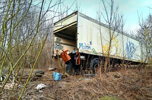 Der seit Jahren im Wald stehende  schrottreife Lastwagenanhänger ist sogar auf der Google-Satellitenaufnahme zu erkennen. Foto: privat