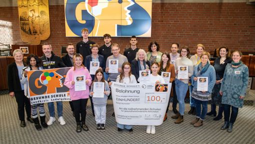 Vertreterinnen und Vertreter der neun Schulen nahmen die Zertifikate im Kreishaus entgegen. Foto: Landratsamt Ludwigsbu/g