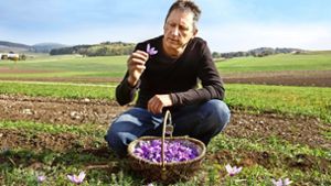 Im dritten Jahr pflanzen die 49-Jährige und ihr Mann Frank-Peter Bahnmüller das teuerste Gewürz der Welt an – durchaus mit Erfolg. Foto: Horst Haas