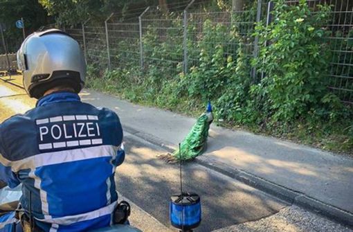 Auch für Tiere im Einsatz: Die Stuttgarter Polizei berichtet über einen besonderen Einsatz. Foto: /Screenshot Facebook