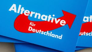 Die Alternative für Deutschland ist eine umstrittene Partei. (Symbolbild) Foto: dpa/Markus Scholz