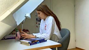 Die Abiturientin Antonia Hamann mit Tablet an ihrem Schreibtisch – so sieht Schule für sie seit Monaten aus. Foto: privat