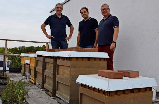 Ein paar Bienen sind noch unterwegs – zur Freude von Wolfgang Schwarzkopf, Emad Hashemi und Tilo Kiess (von links). Foto: Alexandra Kratz