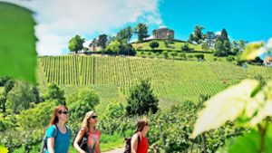 Traumhafte Weinberge direkt unter der Grabkapelle: Auch die touristische Nutzung hat dem Weinbau in Württemberg geholfen. Foto: Lichtgut//Oliver Willikonsky