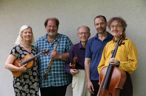 Bei „Klassik im Täle“ gibt es romantische Musik auf die Ohren – von Musikern aus dem Weissacher Tal. Foto: Veranstalter
