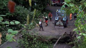 In der Region  stürzten zahlreiche Bäume um, im Rems-Murr-Kreis musste ein Senior aufwendig gerettet werden. Foto: 7aktuell.de/Alexander Hald