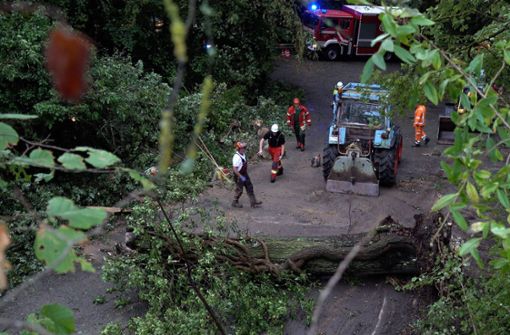 In der Region  stürzten zahlreiche Bäume um, im Rems-Murr-Kreis musste ein Senior aufwendig gerettet werden. Foto: 7aktuell.de/Alexander Hald