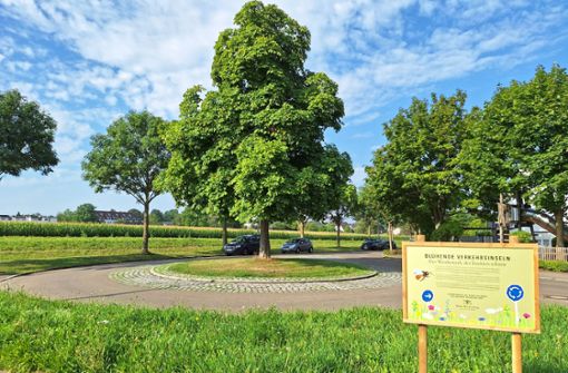 „Blühende Verkehrsinsel“: Die ausgezeichnete Fläche beim Kreisverkehr am Ende der Erbastraße in Fellbach-Oeffingen. Foto: Dirk Herrmann