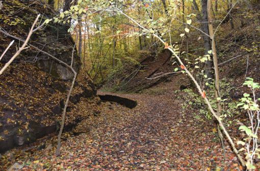 Der Schwälblesbach hat sich eine malerische Klinge durch den Wald gegraben. Foto: /Schwarz