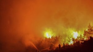 Feuerwehrleute richten Wasserstrahlen aus Feuerwehrschläuchen auf einen Waldbrand im  Pentadaktylos-Gebirge, Nord-Zypern. Foto: AP/dpa/Nedim Enginsoy