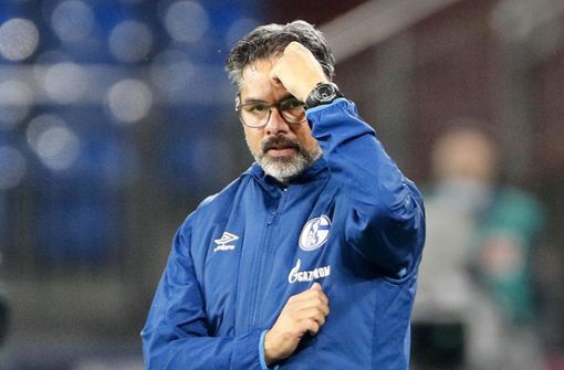 David Wagner ist nicht mehr Trainer des FC Schalke Foto: AP/Martin Meissner