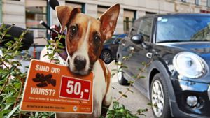 Wien setzt auf Humor: In vielen  Beeten stecken Schilder, auf denen ein Hund samt Kot zu sehen ist, mit der Aufschrift: „Sind dir 50 Euro Wurst? Nimm ein Sackerl für mein Gackerl. Foto: Steve Przybilla