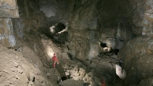 Höhlenwelten unter der  Alb: 60 Meter unter der Erde in der Vetterhöhle offenbart ein gewaltiges  Panorama  – die Abzweighalle zwischen Walhalla und Wolkenschloss Foto: /Höhlenverein  Blaubeuren