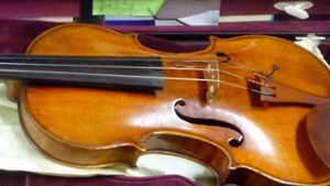 Musikinstrumente wie diese Geige können weit über Hunderttausend Euro wert sein - wie jetzt im Falle eines Geigenbesitzers von den Fildern Foto: Bundespolizei