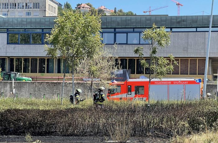 Feuerwehreinsatz in Stuttgart: Rauch am Charlottenplatz – Grünfläche gerät in Brand