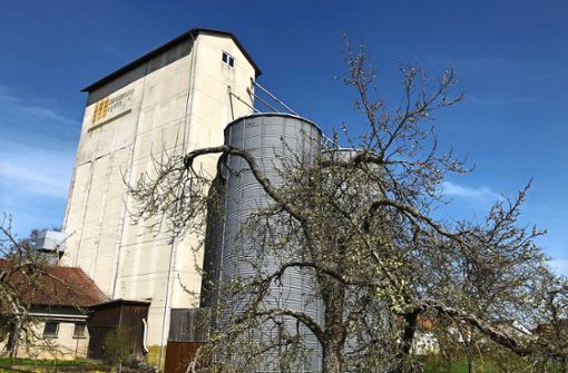 Die Mühle in Oberjesingen feiert dieses Jahr ihr 100-jähriges Jubiläum. Foto: Annette Frühauf