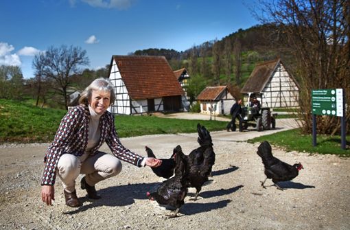 Die Museumsleiterin Steffi Cornelius füttert die Augsburger Hühner. Die  bedrohte Rasse hat im Freilichtmuseum Beuren Unterschlupf gefunden – auch ein Zeichen für ein lebendiges Museum. Foto: Ines Rudel