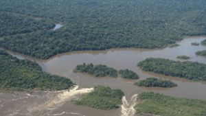 Die grüne Lunge der Welt: das Amazonas-Gebiet Foto: dpa