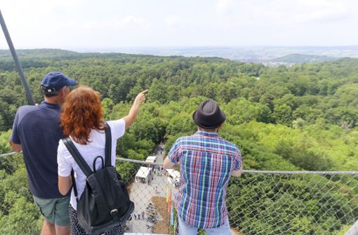 Wer bis zur obersten der drei Plattformen des Schönbuchturms bei Herrenberg klettert, der kann einen weiten Rundumblick genießen. Foto: factum/Granville