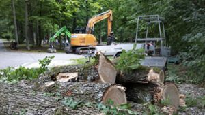 In Kirchheim werden zu viele Bäume gefällt. Das findet zumindest der Nabu-Kreisverband. Die Naturschützer haben  deshalb Strafanzeige gegen die Verantwortlichen gestellt. Foto: Horst Rudel