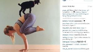 Rachel Brathen setzt beim Yoga auf die Untersützung ihrer Ziege Penny Lane. Foto: Screenshot Instagram / Yoga Girl