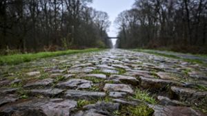 Paris-Roubaix: Radprofis streiten über Schikane