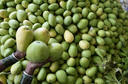 Alle Mangos müssen vernichtet werden. Foto: AFP